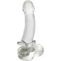 CALEXOTICS silicone penis ring with steel beads size L – image 4 CALEXOTICS silicone penis ring with steel beads size L – image 4