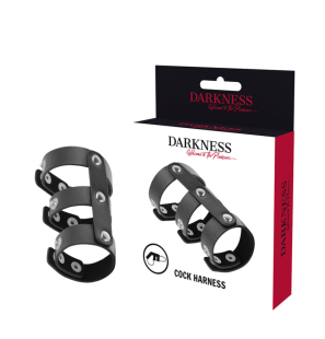 Adjustable Leather Penis and Testicle Ring by Darkness – image 1