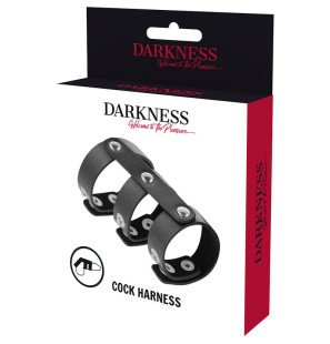 Adjustable Leather Penis and Testicle Ring by Darkness – image 5