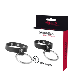Anneau pénien en métal pour le pénis et les testicules de Darkness – photo 1