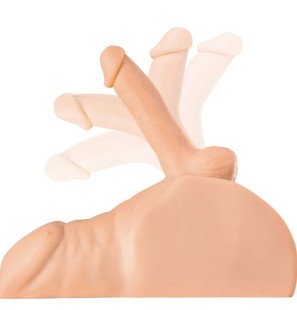 Perfect Ride realistic masturbator for penile and anal stimulation – image 1