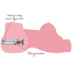 Realistic Female Masturbator Torso with Milking Function and 7 Settings – image 6