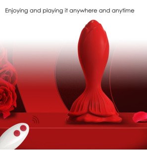 Vibromasseur rose avec petit plug anal et télécommande – photo 4
