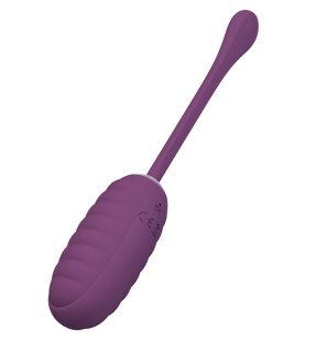 Œuf vibrant rechargeable Pretty Love Casper violet – photo 3