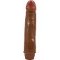 BAILE realistische vibrator van 21 cm voor intieme wellness – foto 1 BAILE realistische vibrator van 21 cm voor intieme wellness – foto 1