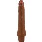 BAILE Realistic Vibrator 25 cm for Intimate Wellness – image 1 BAILE Realistic Vibrator 25 cm for Intimate Wellness – image 1