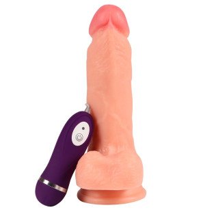 SHEQU Iron Dragon vibromasseur et gode avec télécommande 17,5 cm – photo 2