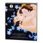 SHUNGA-Massagegel mit exotischen Früchten für intime Wellness 250 ml – Bild 2
