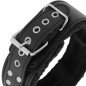 DARKNESS Padded Collar with Titanium Chain – image 5
