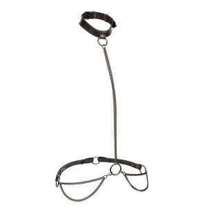 CALEXOTICS Euphoria halter collar with lead and chain, plus size – image 1