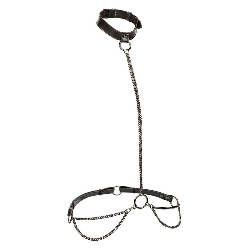 CALEXOTICS Euphoria halter collar with lead and chain, plus size – image 1