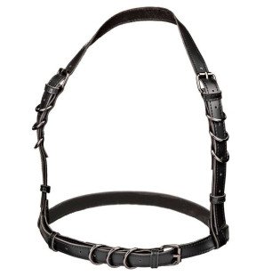 Calexotics Euphoria harnas met gesp in zwart – 65 cm – foto 1