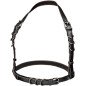 Calexotics Euphoria-Harness mit Schnalle in Schwarz – 65 cm – Bild 1