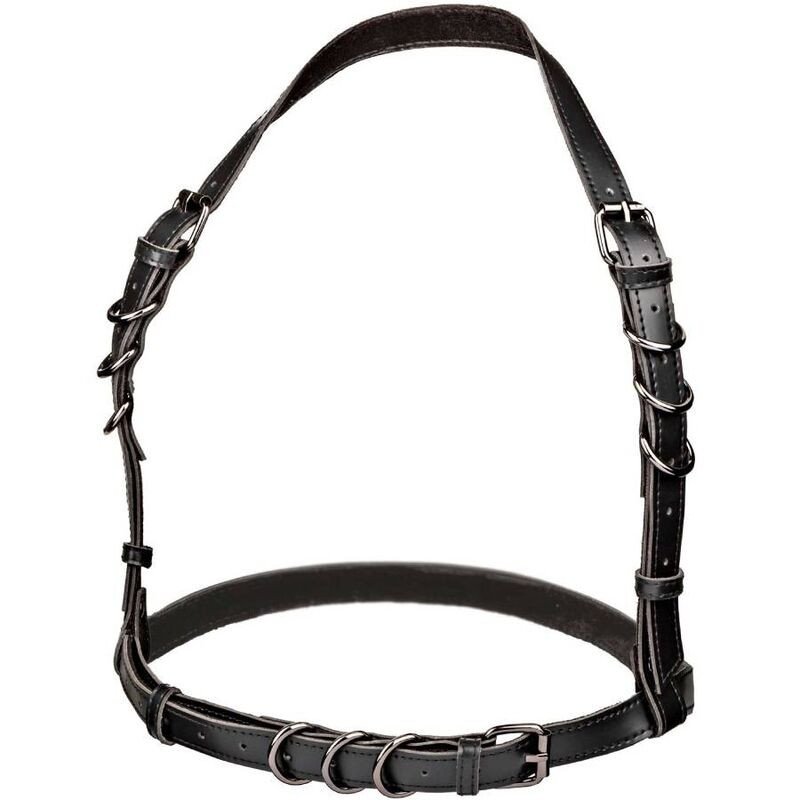Harnais à boucle Calexotics Euphoria noir – 65 cm – photo 1