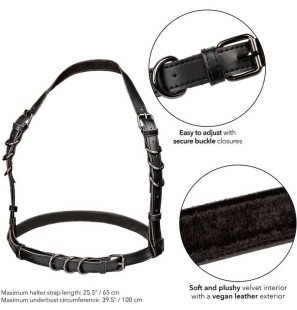 Calexotics Euphoria buckle harness in black – 65 cm – image 5