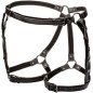 Calexotics Euphoria Thigh Trains plus size 117 cm – image 1