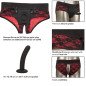 CaleXotics Scandal ouvert-Slipset mit Dildo – Bild 6 CaleXotics Scandal ouvert-Slipset mit Dildo – Bild 6