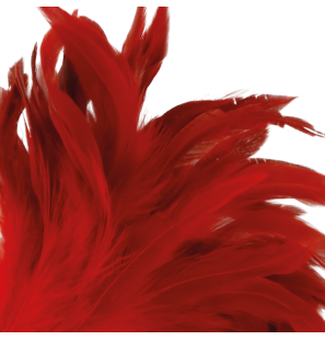 Red stimulating feather, 24 cm, for playful intimate wellness – image 2