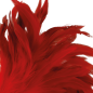 Red stimulating feather, 24 cm, for playful intimate wellness – image 2