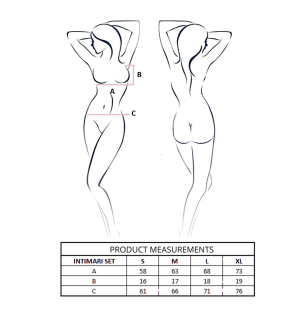 Passion Intimari Pink Lingerie Set with Bra and Briefs L/XL – image 4
