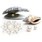Mimi Pearl-Gold Nipple Covers by Bijoux Indiscrets – image 3 Mimi Pearl-Gold Nipple Covers by Bijoux Indiscrets – image 3