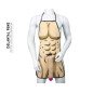 Diablo Picante 3D Penis Apron for Adults – image 1 Diablo Picante 3D Penis Apron for Adults – image 1