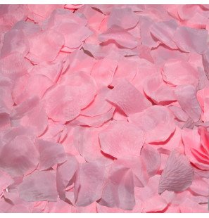 Diablo Picante 100 pink rose petals for romantic moments – image 1