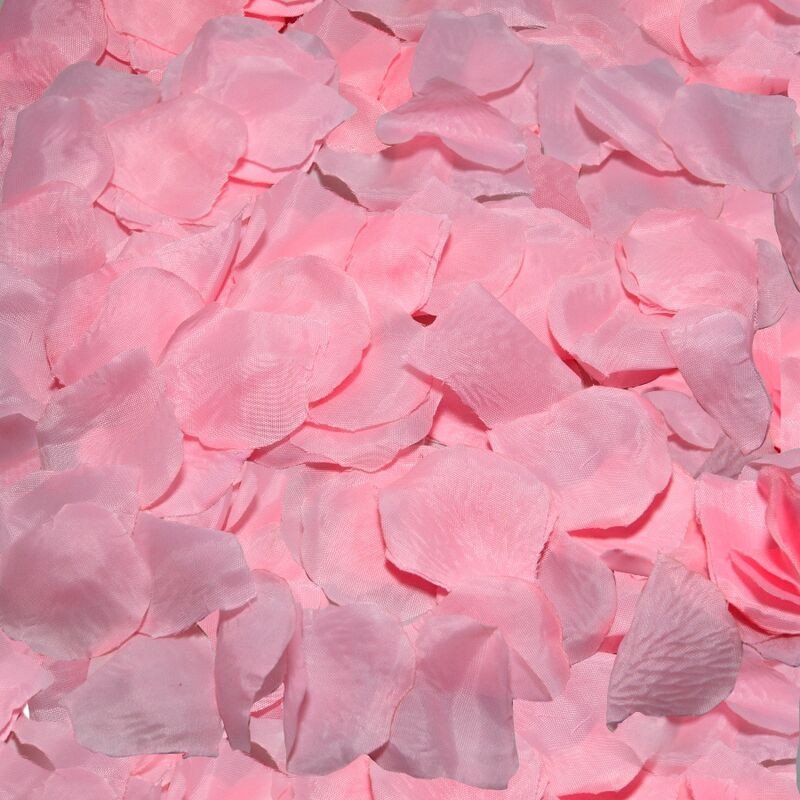 Diablo Picante 100 pink rose petals for romantic moments – image 1