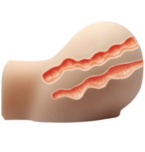 CRAZY BULL realistische vagina- en anale masturbator met vibratie – foto 6