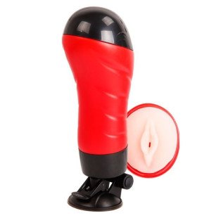 CRAZY BULL masturbateur vaginal avec base 28,3 cm – photo 1
