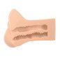 PDX PLUS+ realistic XL masturbator for intimate comfort – image 3