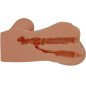 CRAZY BULL Hannah realistic dual masturbator for vaginal and anal use – image 3