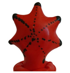 CONDOMERIE novelty condoms with hand-painted starfish – image 1
