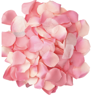 Diablo Picante 100 pétales de rose roses pour des moments romantiques – photo 2