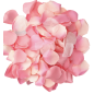 Diablo Picante 100 pink rose petals for romantic moments – image 2
