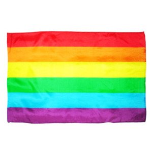 Grand drapeau LGBT Pride – photo 1