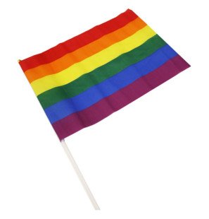 Pride LGBT flag pennant, medium – image 1