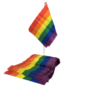 PRIDE small LGBT Pride flag banner – image 1