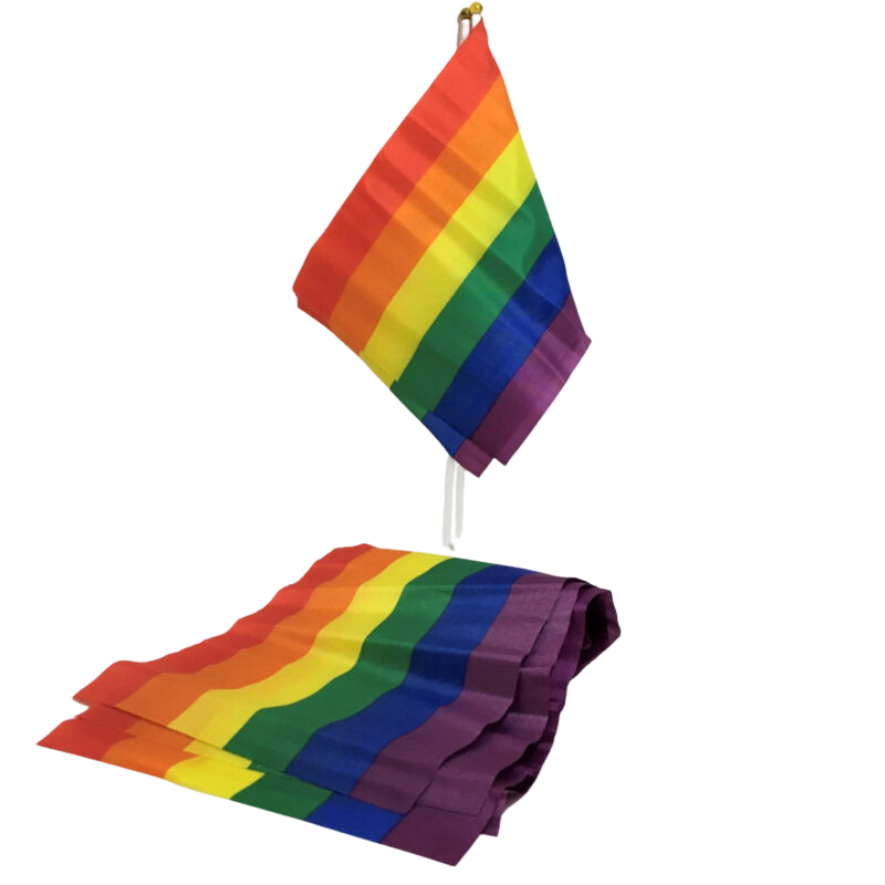 PRIDE small LGBT Pride flag banner – image 1