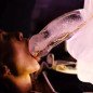 PLAY WIV ME penis-shaped ice luge mould for a striking ice luge – image 4