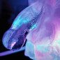 PLAY WIV ME penisförmige Eisform für eine auffällige Eisrutsche – Bild 6