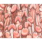 Diablo Picante Mouse Mat with Penis Design as a Playful Gift – image 1