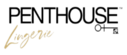 PENTHOUSE PEIGNOIRS